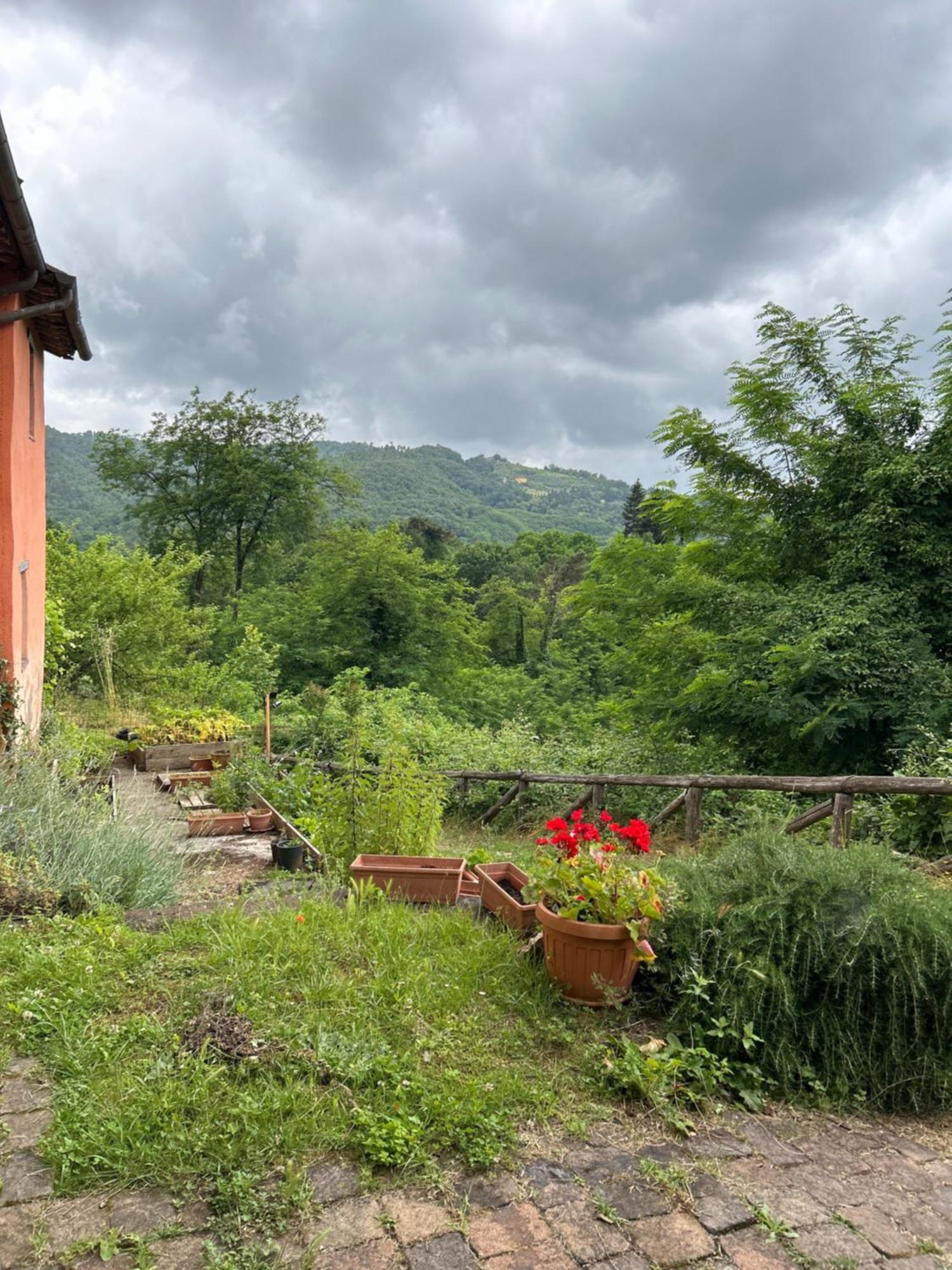 Bed and Breakfast Casa Octavia San Martino in Freddana Екстер'єр фото