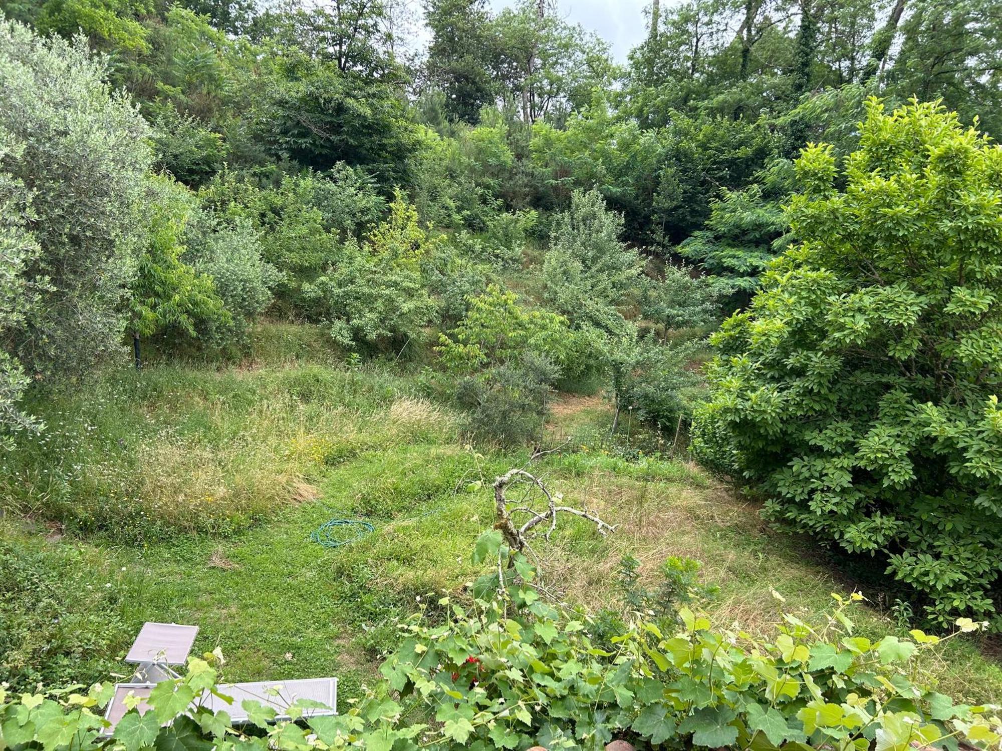 Bed and Breakfast Casa Octavia San Martino in Freddana Екстер'єр фото